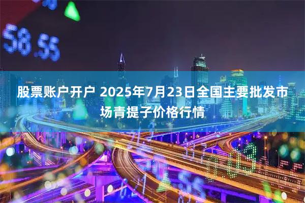 股票账户开户 2025年7月23日全国主要批发市场青提子价格行情